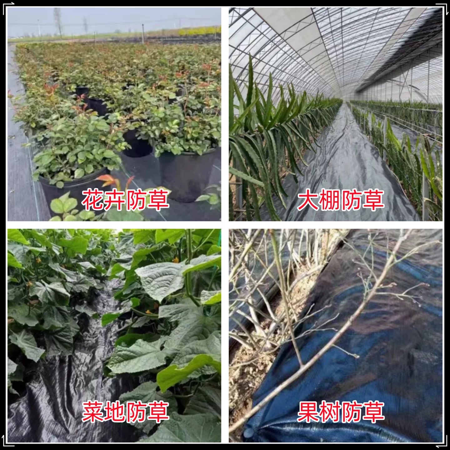 贵阳市po膜防草布 - 价格
