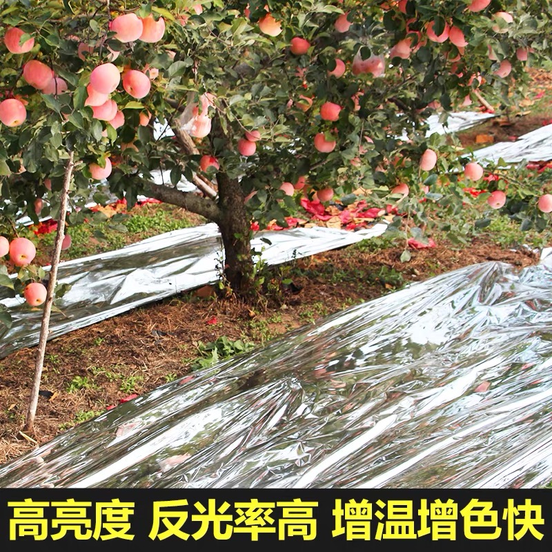 贵阳市地膜果树反光膜 - 厂家